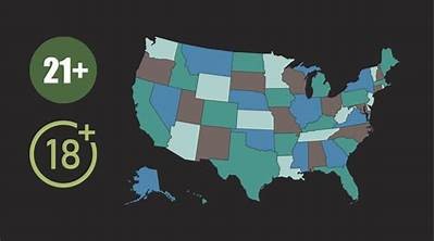 Comprehensive Willbet Casino States Map Showing Legal Gambling Areas and Regulations Across the United States