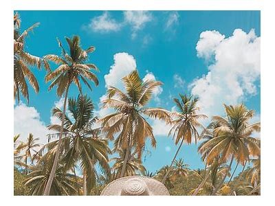 Explore the Exciting World of WJ Cassino: Your Ultimate Guide to Online Gaming and Casino Fun