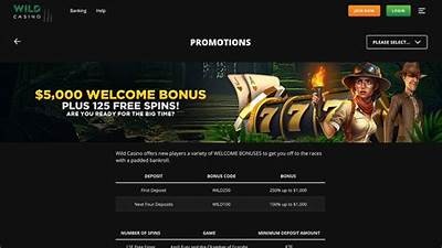 Exclusive Willbet Casino Promo Offers and Bonuses You Should Not Miss in 2024