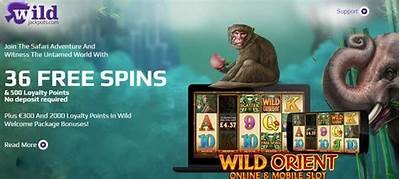 Unlock Your Luck with Willbet Casino No Deposit Bonus for Exciting Offers and Rewards