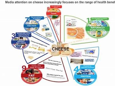 Who Gets the Cheese Understanding the Secrets Behind Success and Reward Distribution