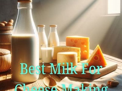 Who Gets the Cheese Understanding the Secrets Behind Success and Reward Distribution